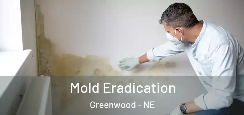 Mold Eradication Greenwood - NE