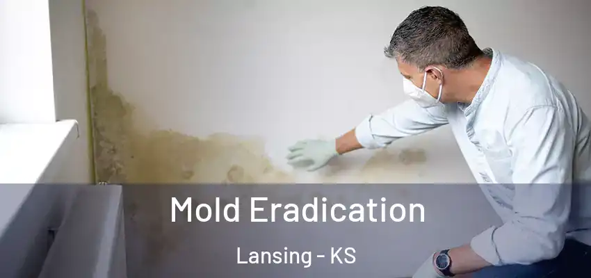 Mold Eradication Lansing - KS