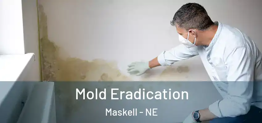  Mold Eradication Maskell - NE