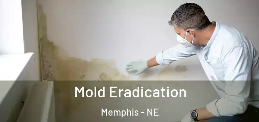 Mold Eradication Memphis - NE