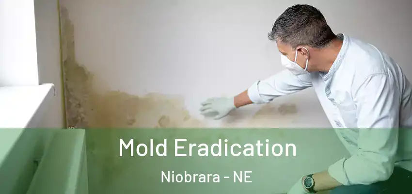  Mold Eradication Niobrara - NE