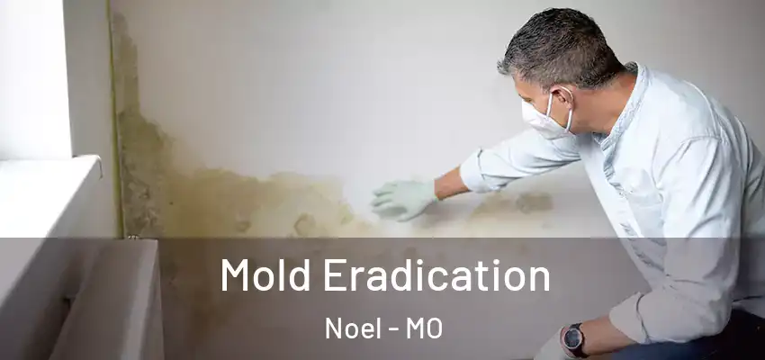 Mold Eradication Noel - MO