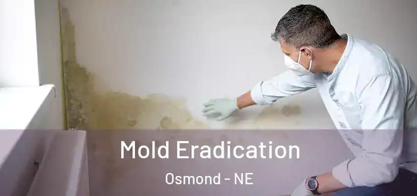 Mold Eradication Osmond - NE