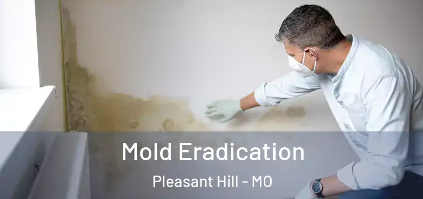  Mold Eradication Pleasant Hill - MO
