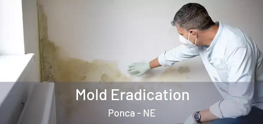  Mold Eradication Ponca - NE