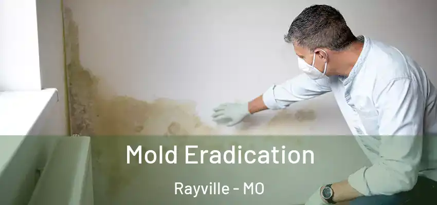  Mold Eradication Rayville - MO