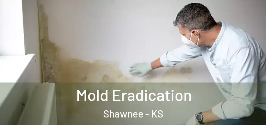  Mold Eradication Shawnee - KS