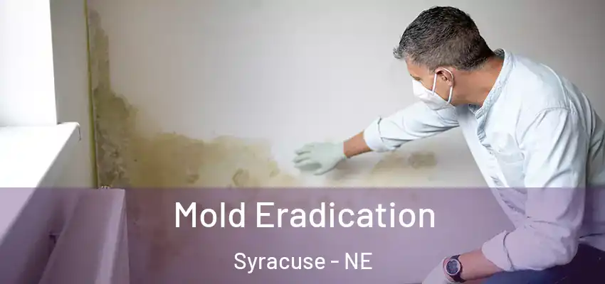  Mold Eradication Syracuse - NE