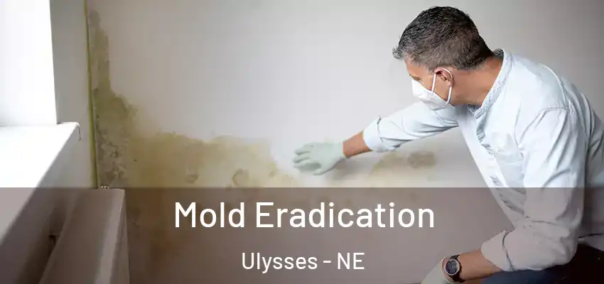 Mold Eradication Ulysses - NE