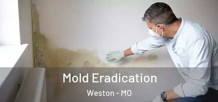  Mold Eradication Weston - MO