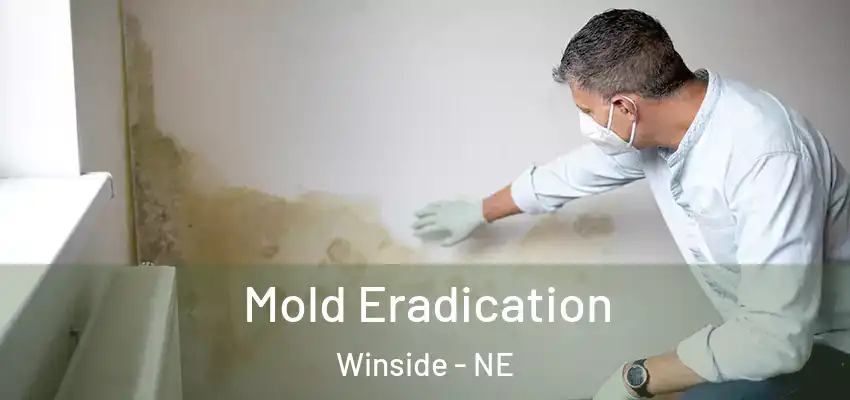  Mold Eradication Winside - NE