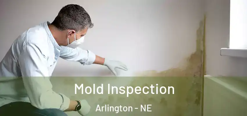  Mold Inspection Arlington - NE