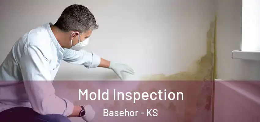  Mold Inspection Basehor - KS