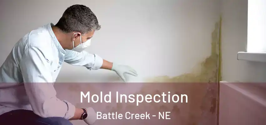 Mold Inspection Battle Creek - NE