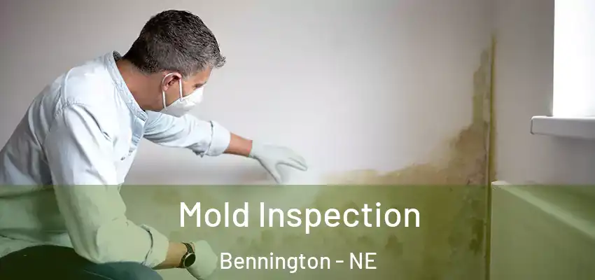  Mold Inspection Bennington - NE