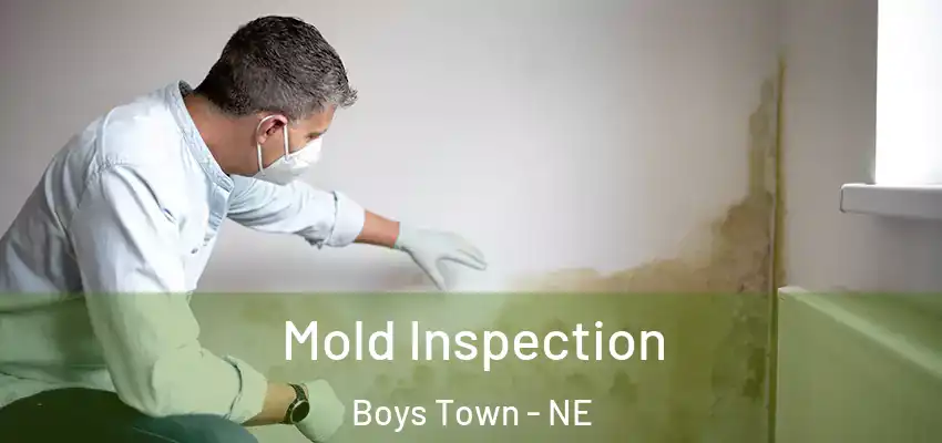  Mold Inspection Boys Town - NE