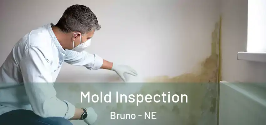  Mold Inspection Bruno - NE