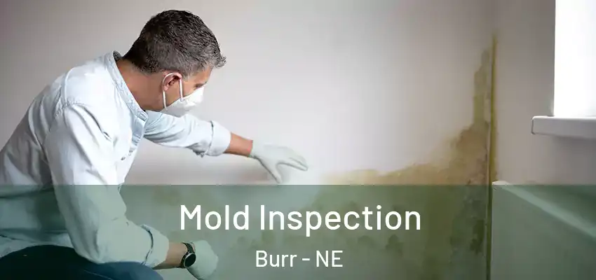  Mold Inspection Burr - NE