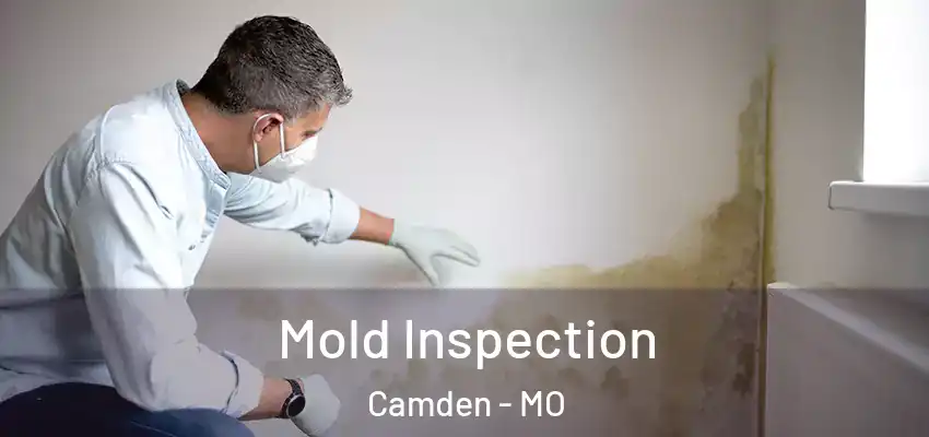  Mold Inspection Camden - MO