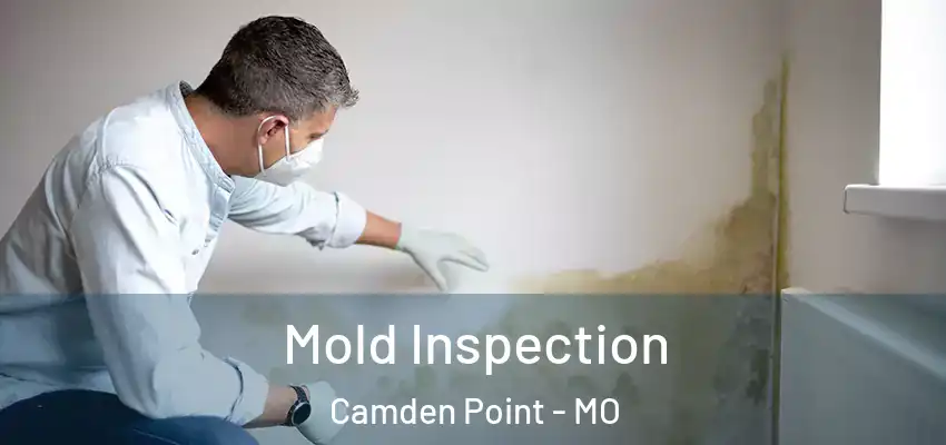  Mold Inspection Camden Point - MO