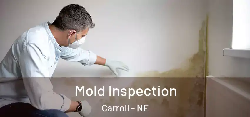 Mold Inspection Carroll - NE