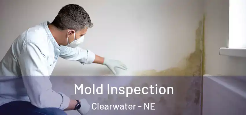  Mold Inspection Clearwater - NE