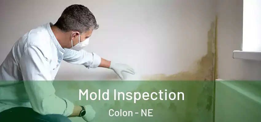 Mold Inspection Colon - NE