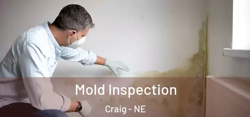 Mold Inspection Craig - NE