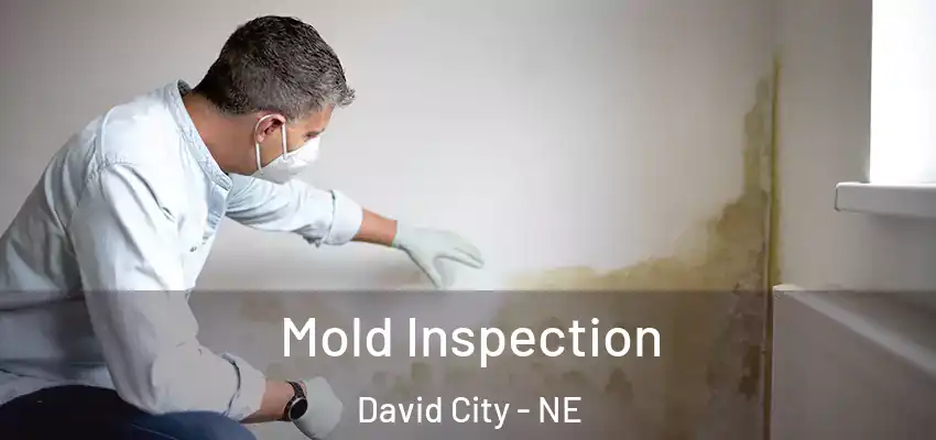  Mold Inspection David City - NE