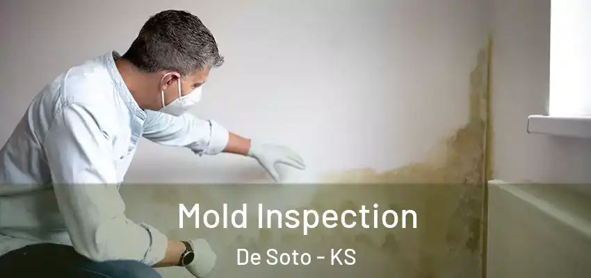  Mold Inspection De Soto - KS