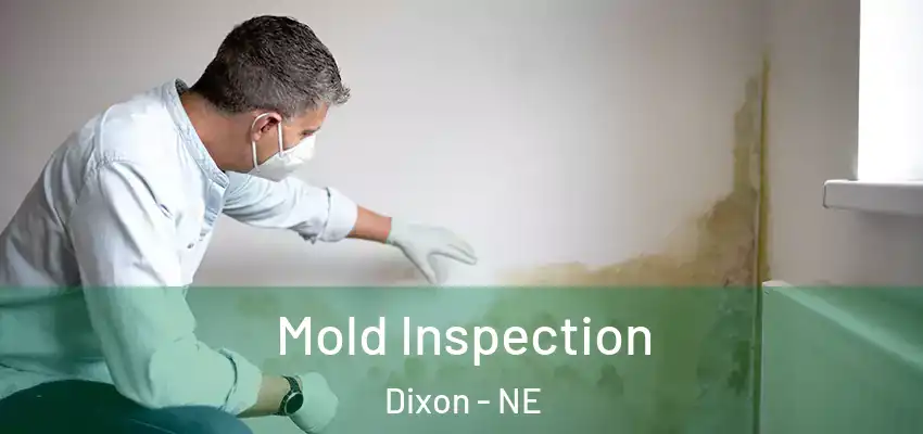  Mold Inspection Dixon - NE