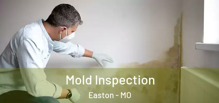  Mold Inspection Easton - MO