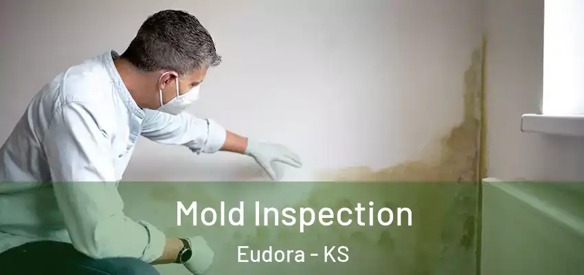  Mold Inspection Eudora - KS
