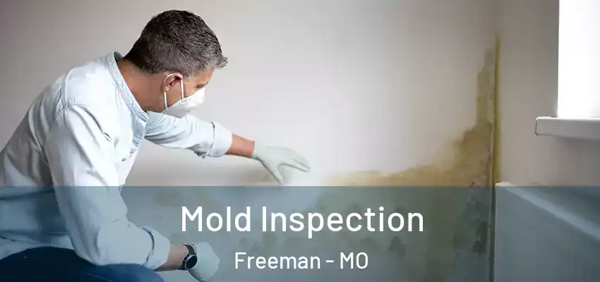  Mold Inspection Freeman - MO