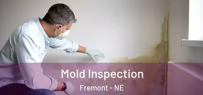 Mold Inspection Fremont - NE