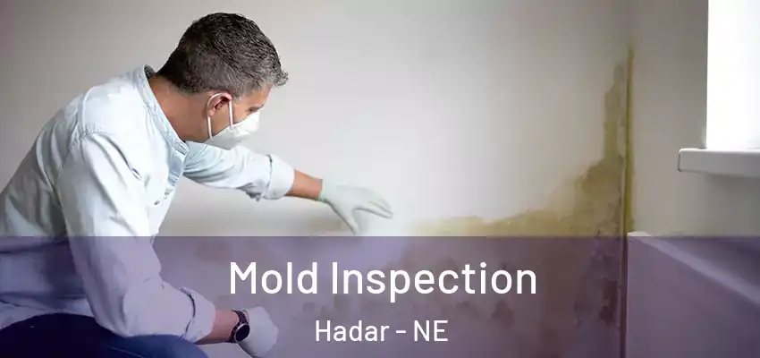 Mold Inspection Hadar - NE