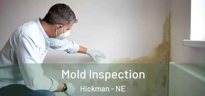  Mold Inspection Hickman - NE