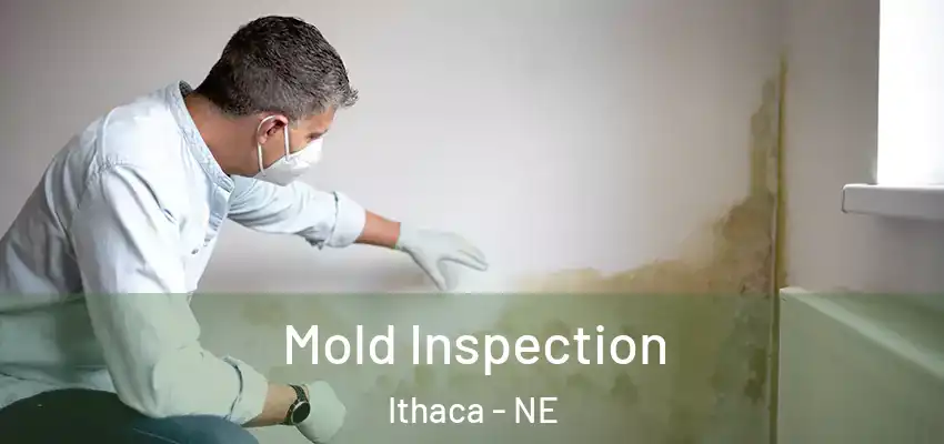  Mold Inspection Ithaca - NE