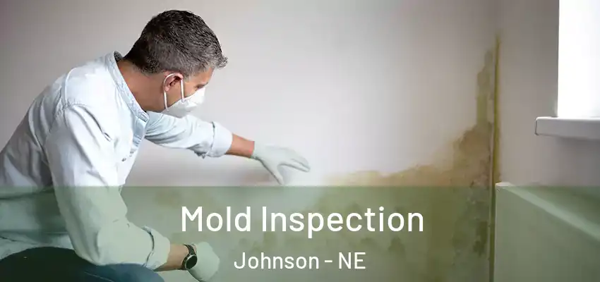 Mold Inspection Johnson - NE