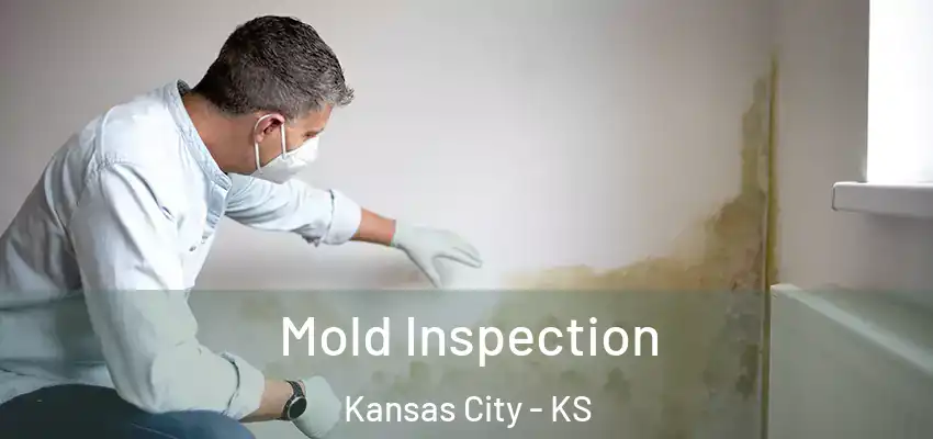  Mold Inspection Kansas City - KS