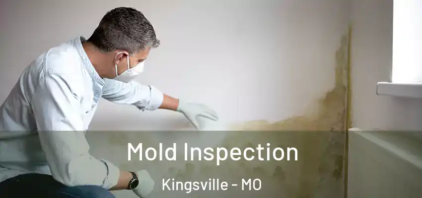  Mold Inspection Kingsville - MO