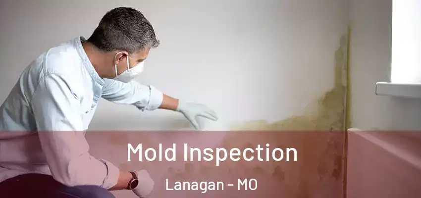 Mold Inspection Lanagan - MO