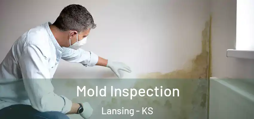  Mold Inspection Lansing - KS
