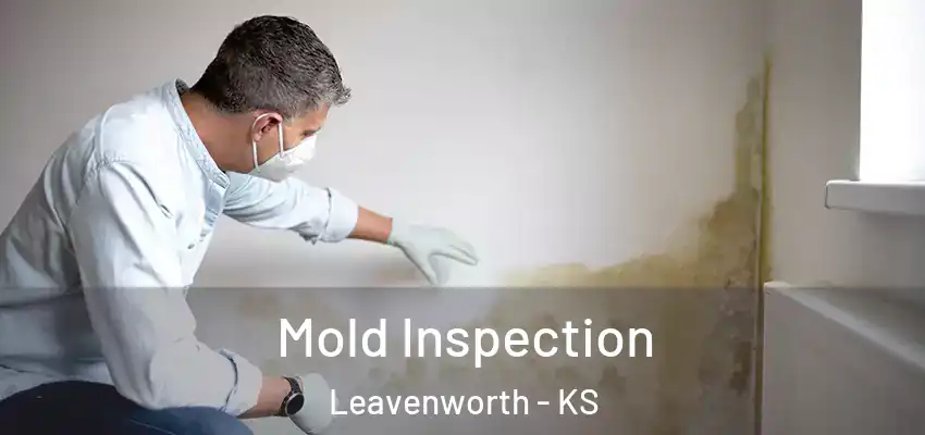 Mold Inspection Leavenworth - KS