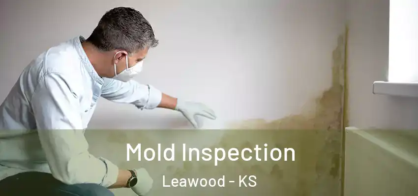 Mold Inspection Leawood - KS