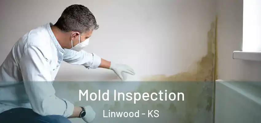  Mold Inspection Linwood - KS
