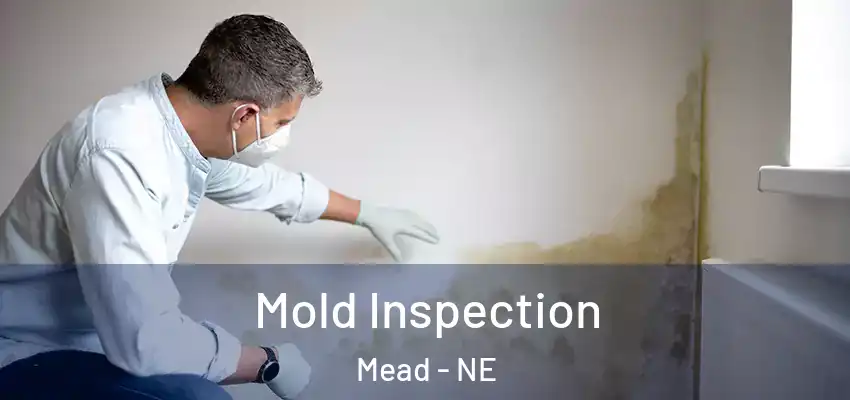  Mold Inspection Mead - NE