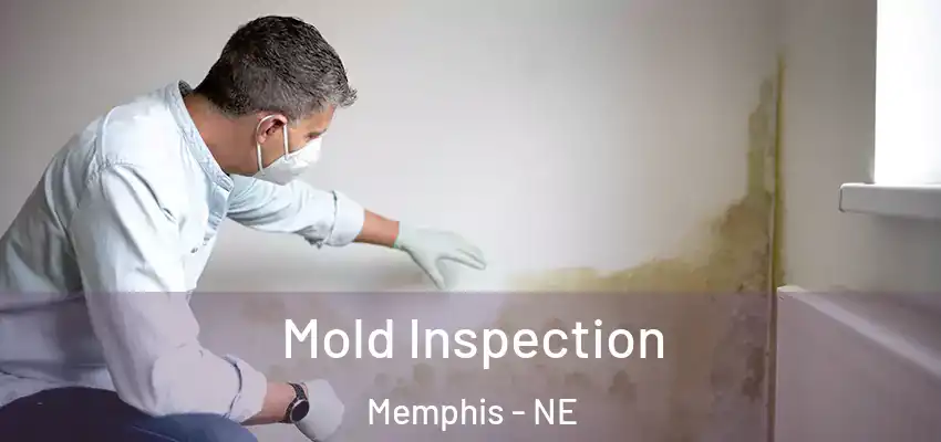 Mold Inspection Memphis - NE