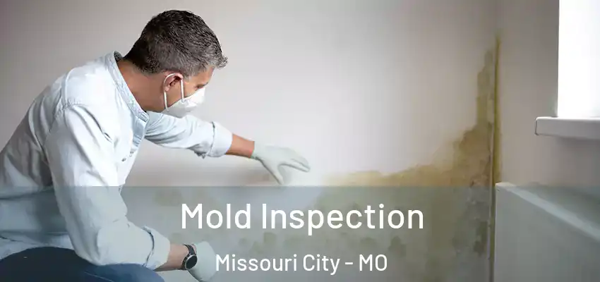  Mold Inspection Missouri City - MO