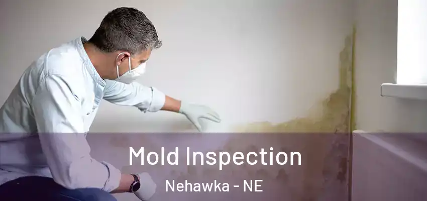  Mold Inspection Nehawka - NE